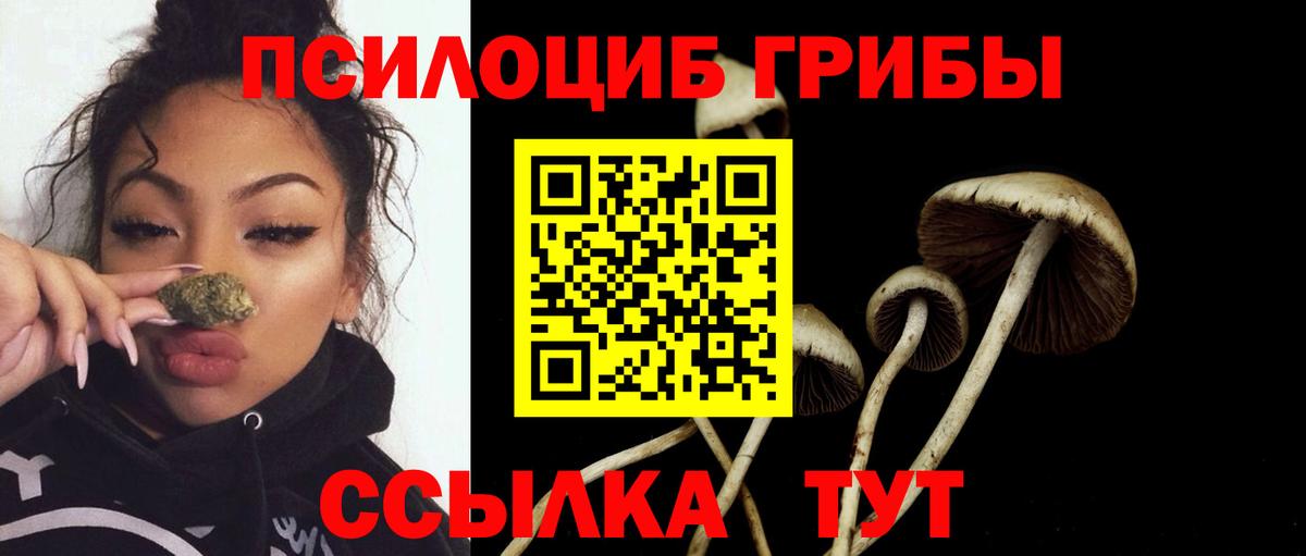 Галлюциногенные грибы прущие грибы  Псилоцибиновые грибы Psilocybe  Самара  Вход с VPN 